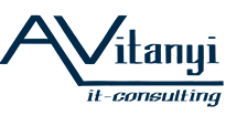 Alexander Vitanyi IT-Consulting